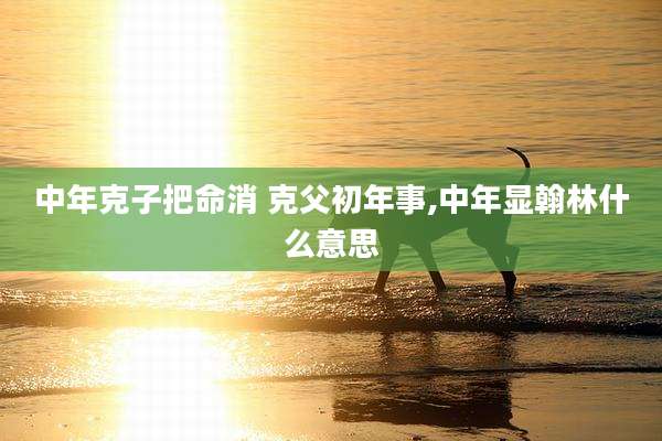 中年克子把命消 克父初年事,中年显翰林什么意思