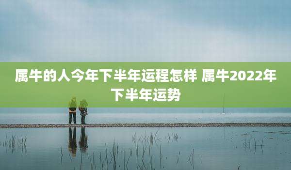 属牛的人今年下半年运程怎样 属牛2022年下半年运势