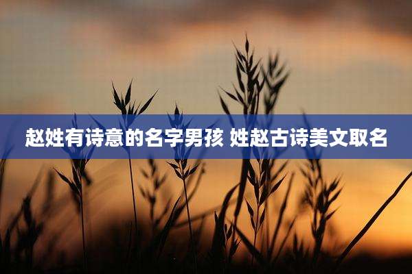 赵姓有诗意的名字男孩 姓赵古诗美文取名