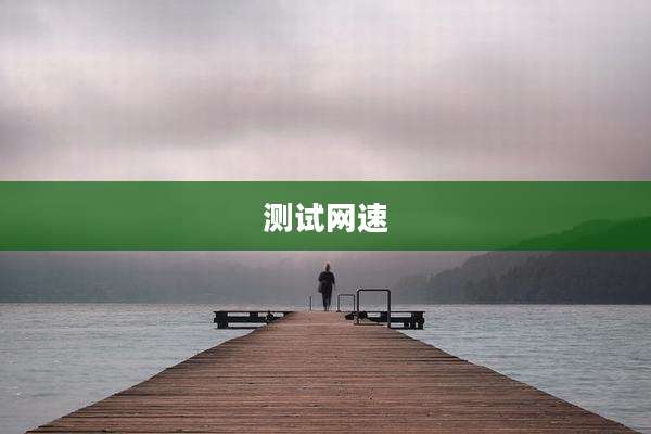 测试网速
