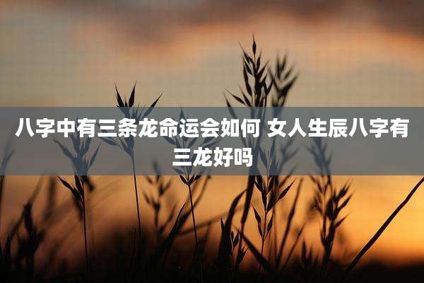 八字中有三条龙命运会如何 女人生辰八字有三龙好吗