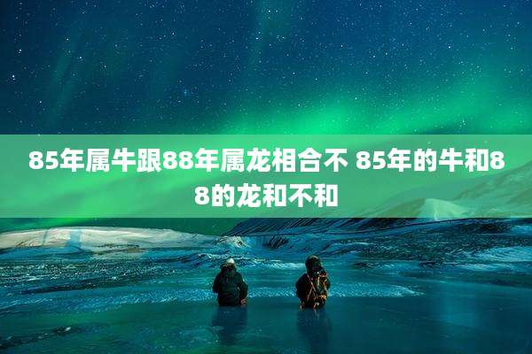 85年属牛跟88年属龙相合不 85年的牛和88的龙和不和
