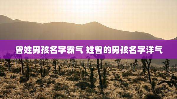 曾姓男孩名字霸气 姓曾的男孩名字洋气