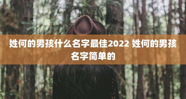 姓何的男孩什么名字最佳2022 姓何的男孩名字简单的