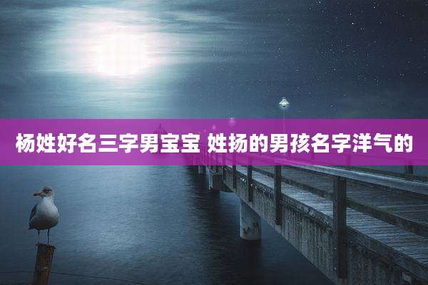 杨姓好名三字男宝宝 姓扬的男孩名字洋气的