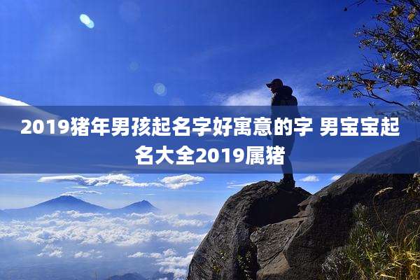 2019猪年男孩起名字好寓意的字 男宝宝起名大全2019属猪
