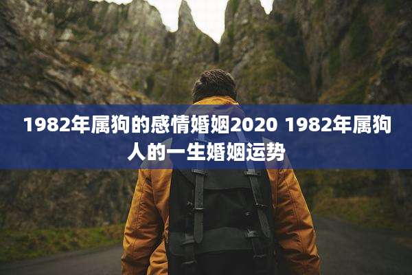 1982年属狗的感情婚姻2020 1982年属狗人的一生婚姻运势