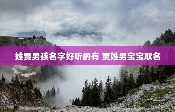 姓贾男孩名字好听的有 贾姓男宝宝取名