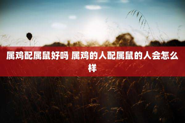 属鸡配属鼠好吗 属鸡的人配属鼠的人会怎么样