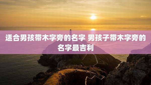 适合男孩带木字旁的名字 男孩子带木字旁的名字最吉利