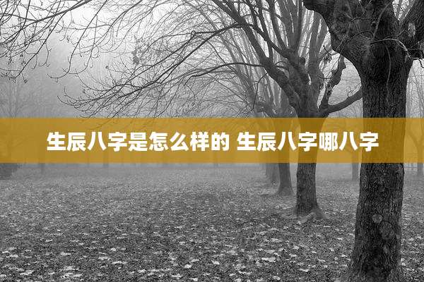 生辰八字是怎么样的 生辰八字哪八字