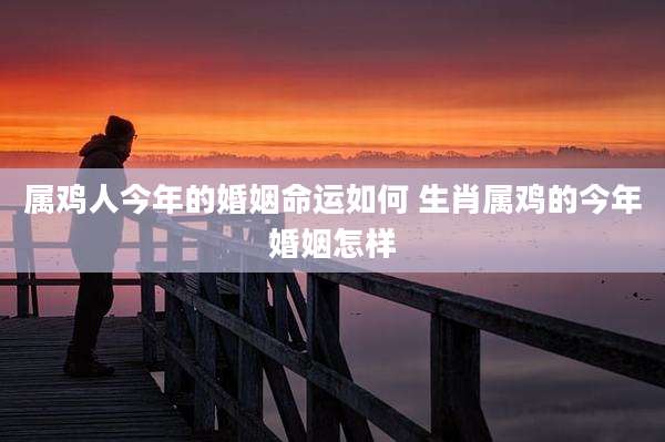 属鸡人今年的婚姻命运如何 生肖属鸡的今年婚姻怎样