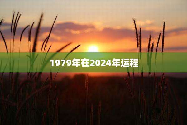 1979年在2024年运程