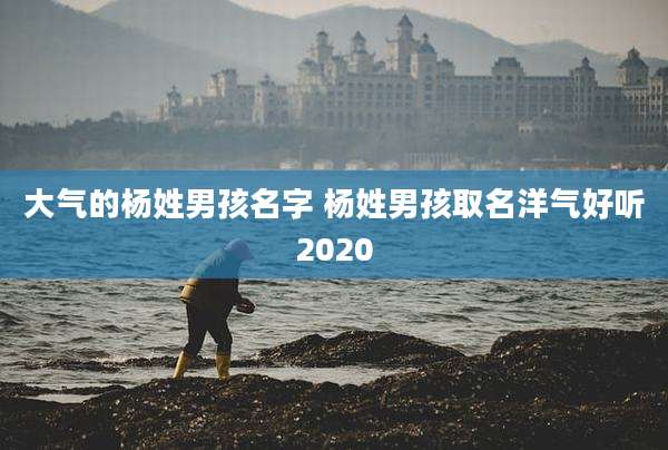 大气的杨姓男孩名字 杨姓男孩取名洋气好听2020