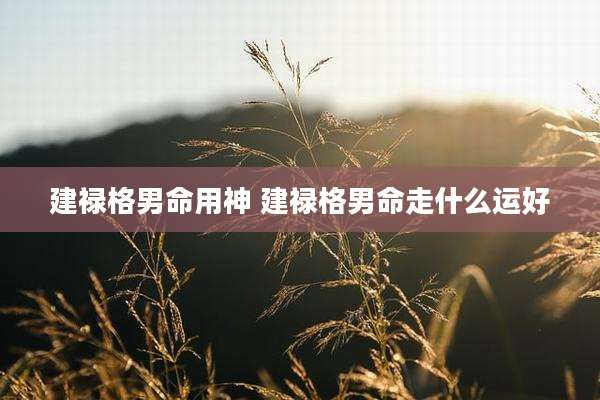 建禄格男命用神 建禄格男命走什么运好
