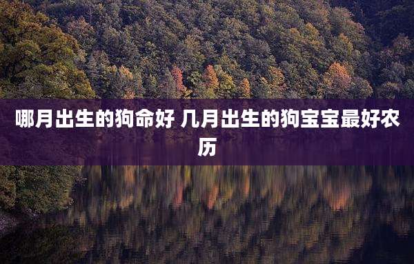 哪月出生的狗命好 几月出生的狗宝宝最好农历