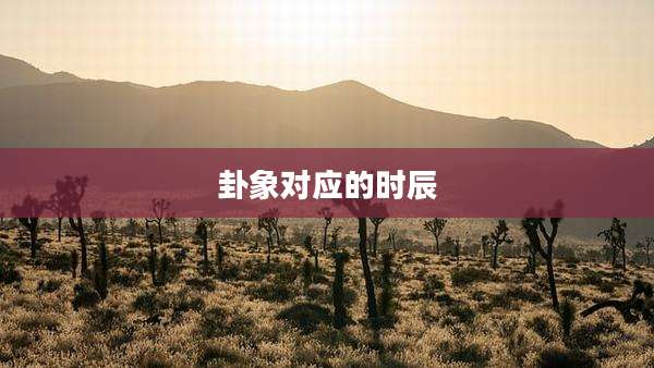 卦象对应的时辰