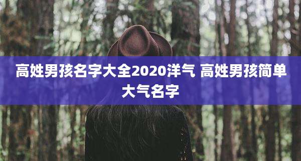 高姓男孩名字大全2020洋气 高姓男孩简单大气名字