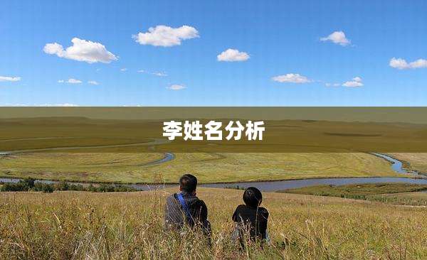 李姓名分析