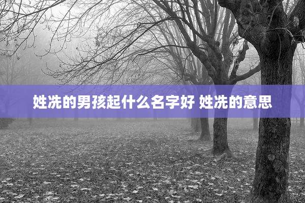 姓冼的男孩起什么名字好 姓冼的意思