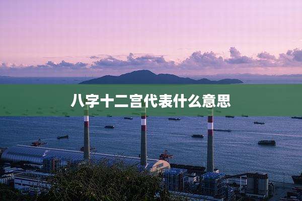 八字十二宫代表什么意思
