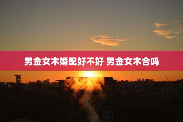 男金女木婚配好不好 男金女木合吗