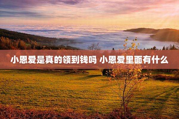 小恩爱是真的领到钱吗 小恩爱里面有什么