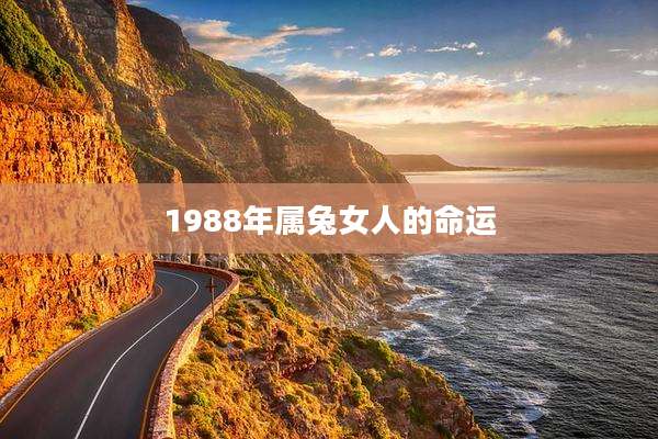 1988年属兔女人的命运