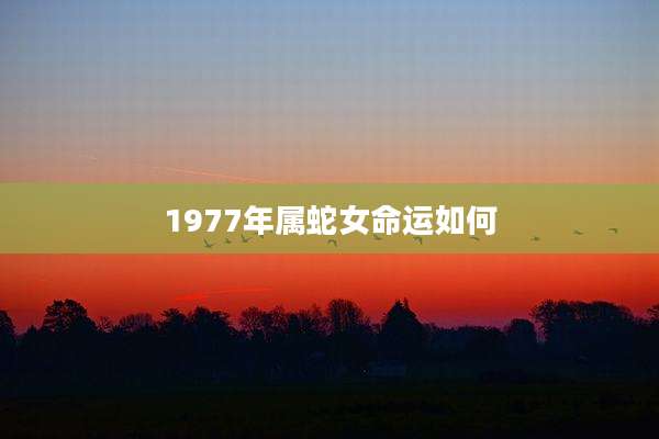 1977年属蛇女命运如何