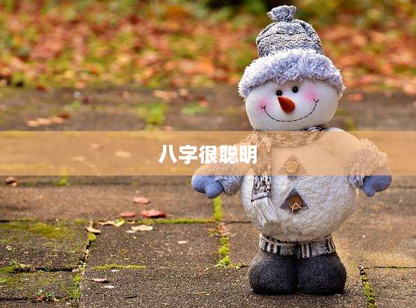八字很聪明