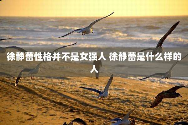 徐静蕾性格并不是女强人 徐静蕾是什么样的人