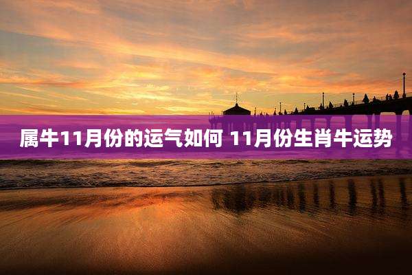 属牛11月份的运气如何 11月份生肖牛运势