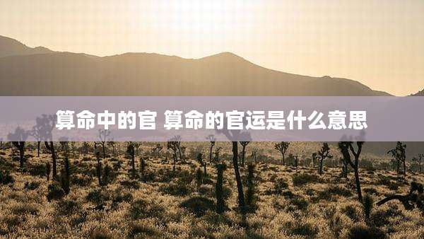 算命中的官 算命的官运是什么意思