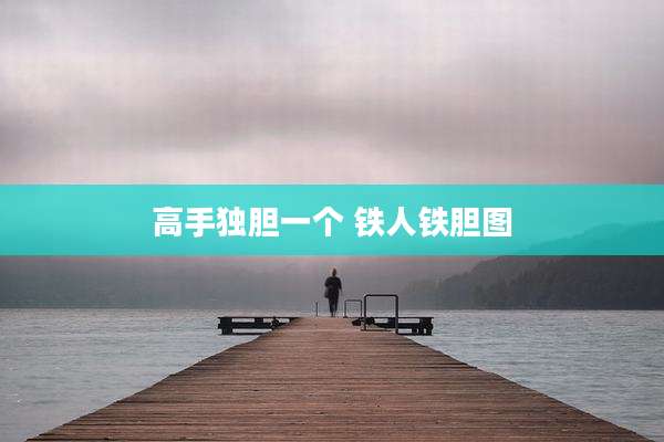 高手独胆一个 铁人铁胆图