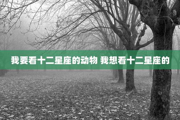 我要看十二星座的动物 我想看十二星座的
