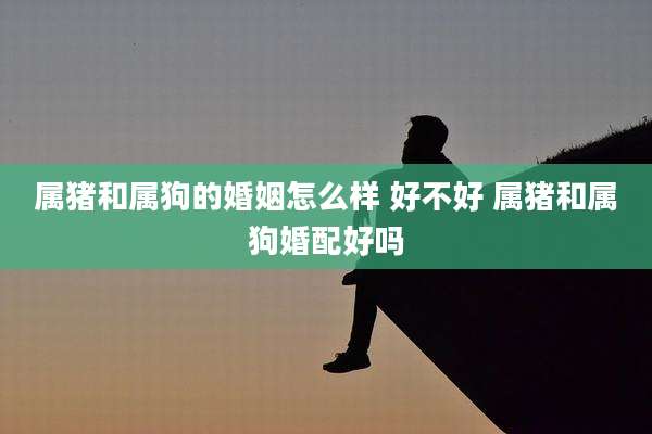 属猪和属狗的婚姻怎么样 好不好 属猪和属狗婚配好吗
