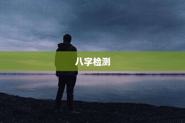 八字检测
