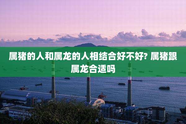 属猪的人和属龙的人相结合好不好? 属猪跟属龙合适吗