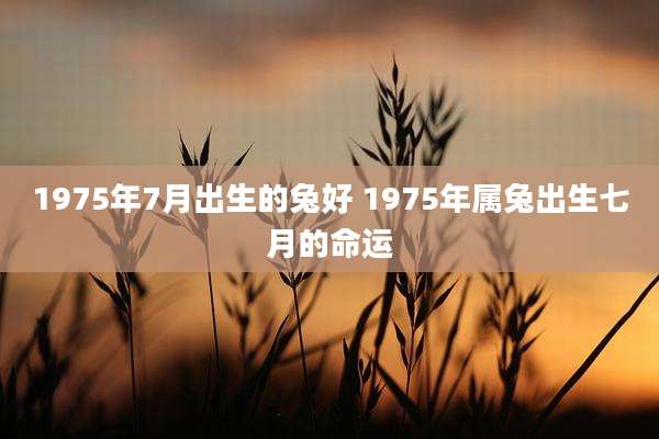 1975年7月出生的兔好 1975年属兔出生七月的命运