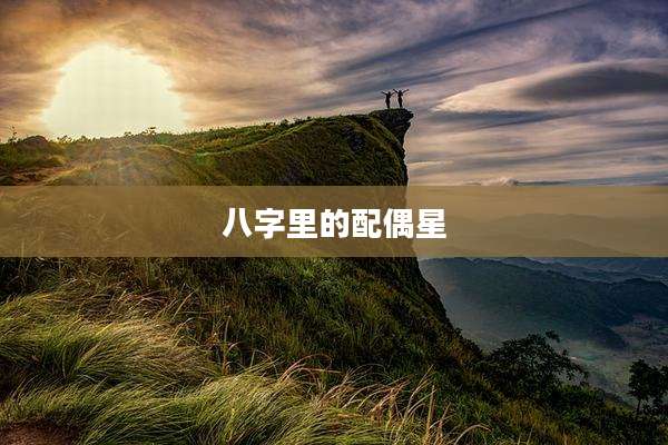 八字里的配偶星