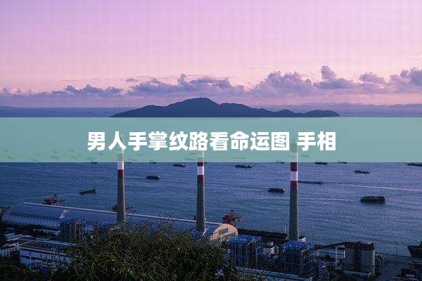 男人手掌纹路看命运图 手相