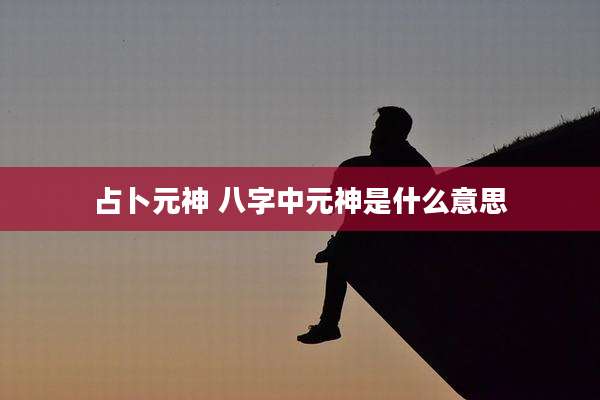占卜元神 八字中元神是什么意思