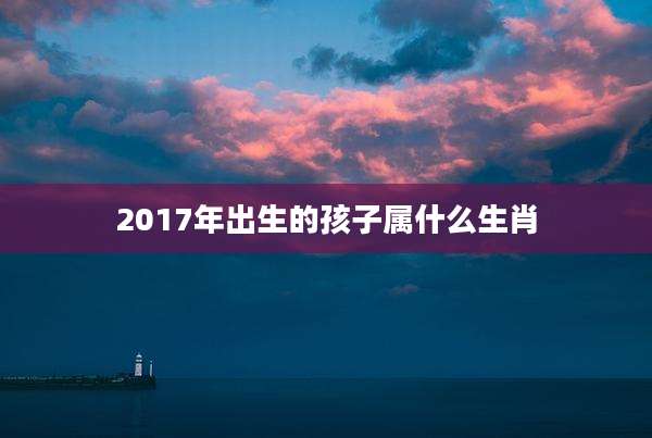 2017年出生的孩子属什么生肖