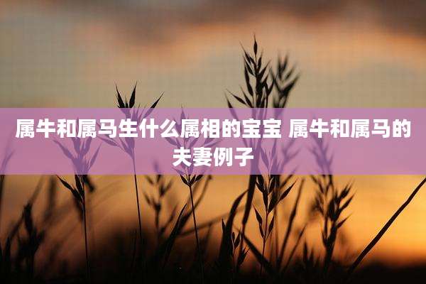 属牛和属马生什么属相的宝宝 属牛和属马的夫妻例子