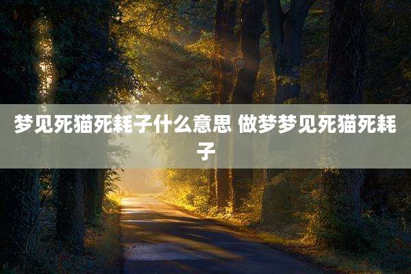 梦见死猫死耗子什么意思 做梦梦见死猫死耗子