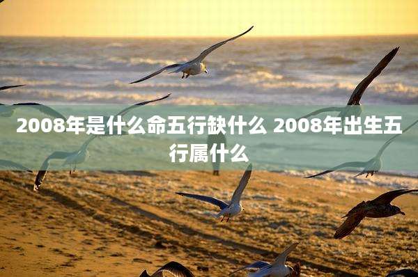 2008年是什么命五行缺什么 2008年出生五行属什么