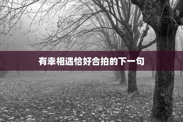 有幸相遇恰好合拍的下一句