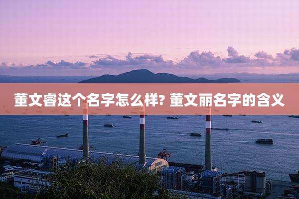 董文睿这个名字怎么样? 董文丽名字的含义