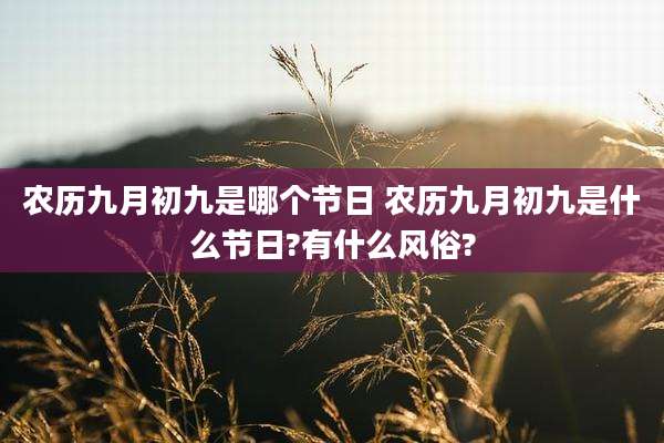 农历九月初九是哪个节日 农历九月初九是什么节日?有什么风俗?