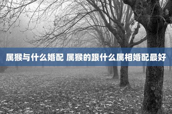 属猴与什么婚配 属猴的跟什么属相婚配最好